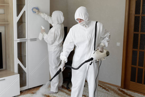 Best HVAC Mold Remediation in Spanish Fort, AL