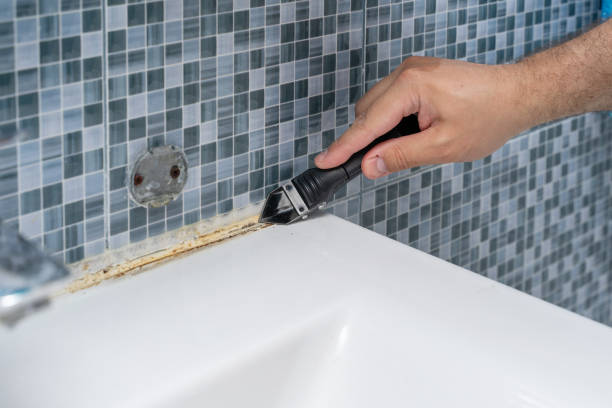 Best Mold Remediation for Schools in Spanish Fort, AL