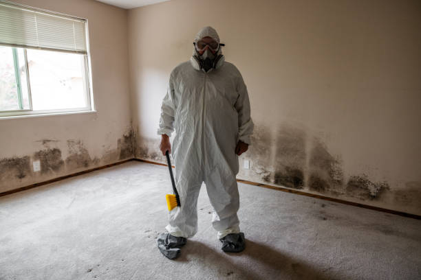 Best Residential Mold Remediation in Spanish Fort, AL
